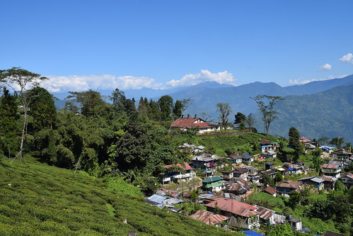 Village of many houses on an edge of a green mountain.